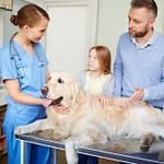 What Is Canine Spinal Stroke? vet with family and golden retriever