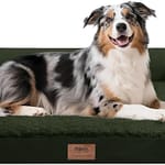 The Best Orthopaedic Beds in 2026 mekiy orthopedic washable dog bed