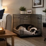 Dog Crates and Playpens for FCE recovery image