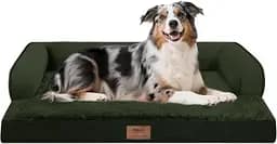 Bringing Your Dog Home After FCE image