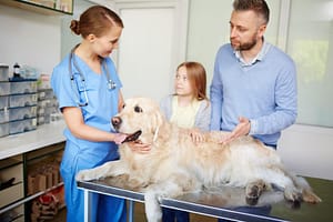 FCE faqs vet with family and golden retriever
