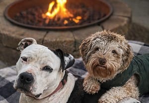 Register Your Interest Popup flynn and clover firepit