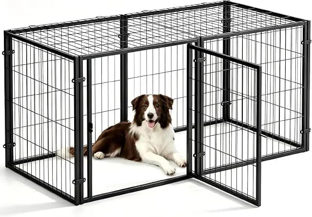 The Best Playpens for FCE recovery in 2026 image