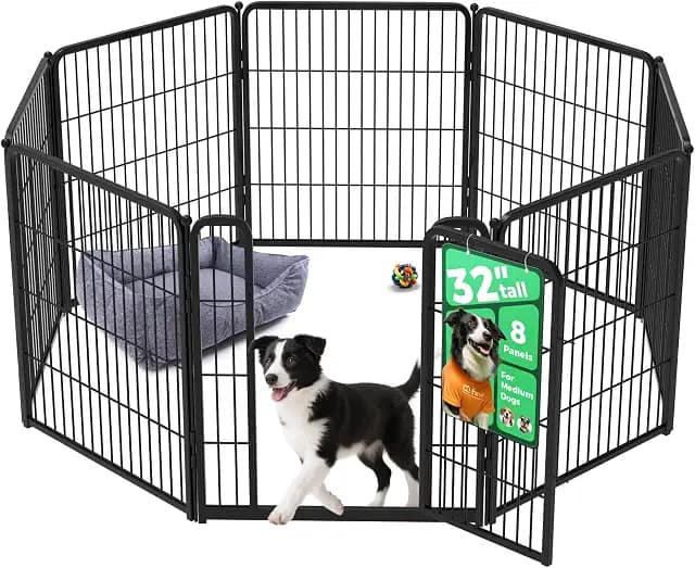 The Best Playpens for FCE recovery in 2026 image