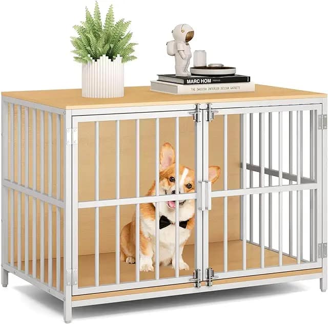 The Best Dog Crates for FCE recovery in 2026 image