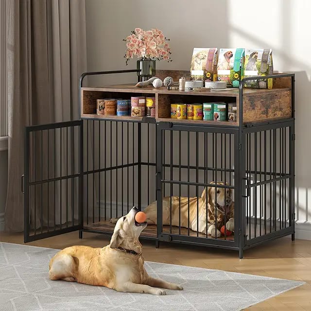 The Best Dog Crates for FCE recovery in 2026 image