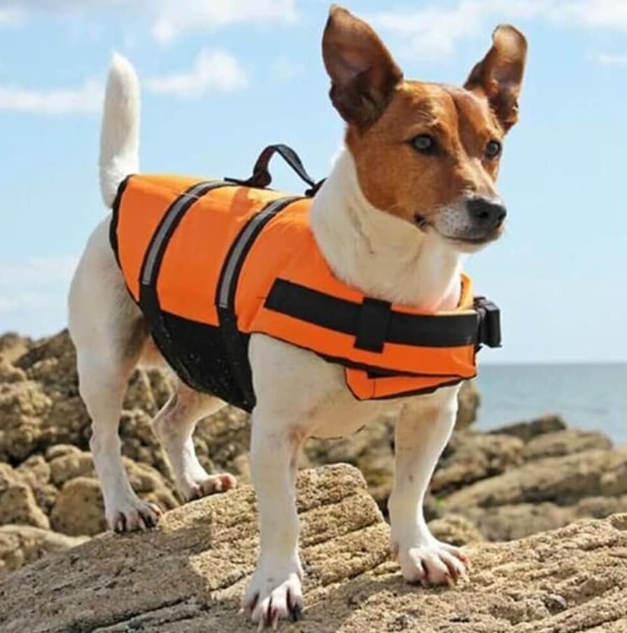 The Best Hydrotherapy Jackets in 2026 screenshot 2026 07 16 at 9.01.32 pm