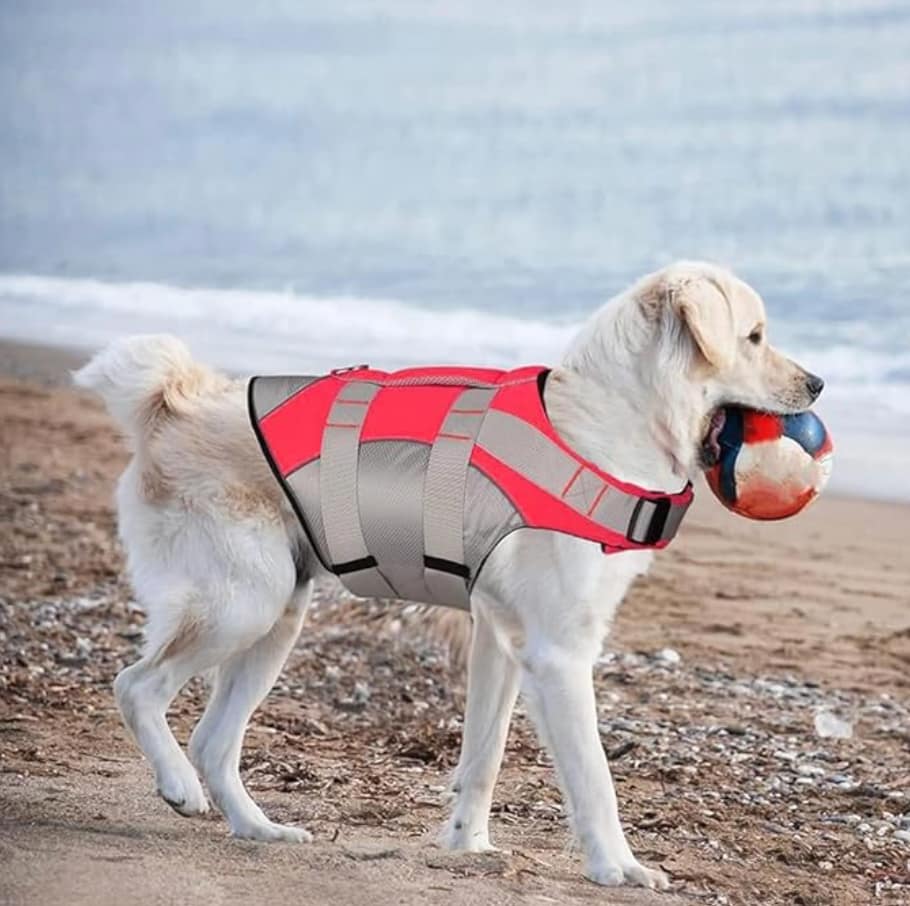 The Best Hydrotherapy Jackets in 2026 ymonoe reflective & adjustable vest