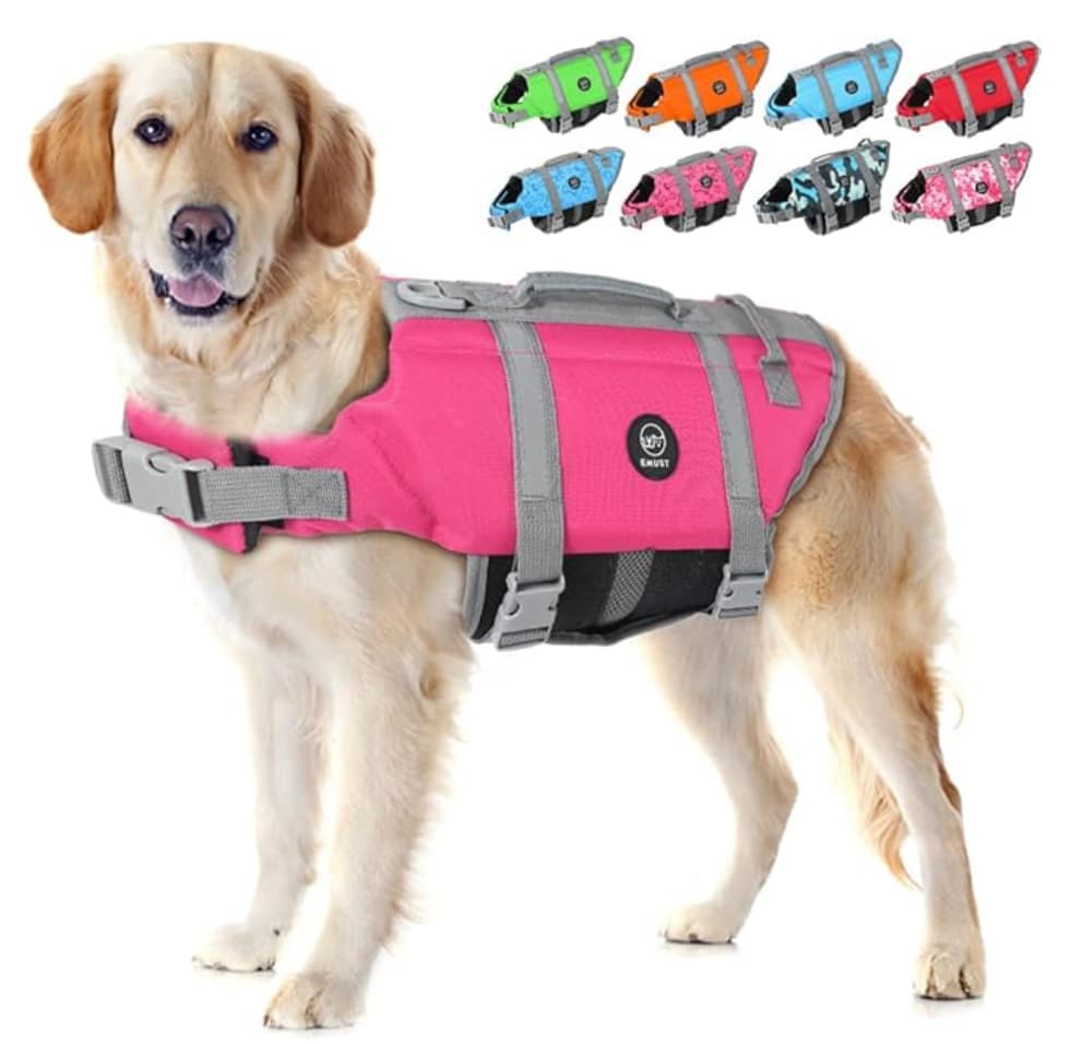 The Best Hydrotherapy Jackets in 2026 emust dog life vests